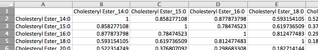 Matrix-based Correlation File