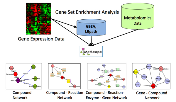 Metscape 2 overview diagram